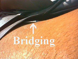 bridging