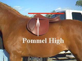 pommel high